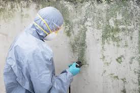 Best Water Damage & Mold Remediation in Somerset, KY